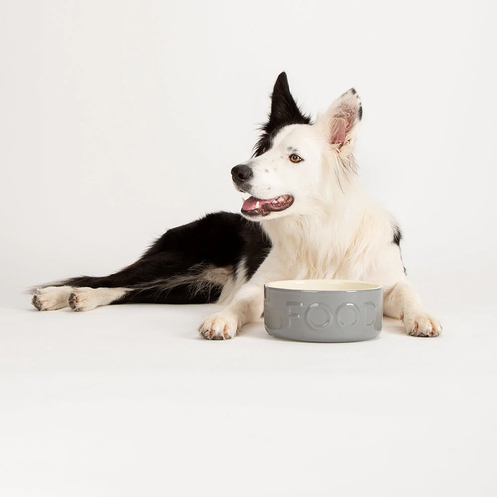 Scruffs Classic Food Bowl 19cm Grey