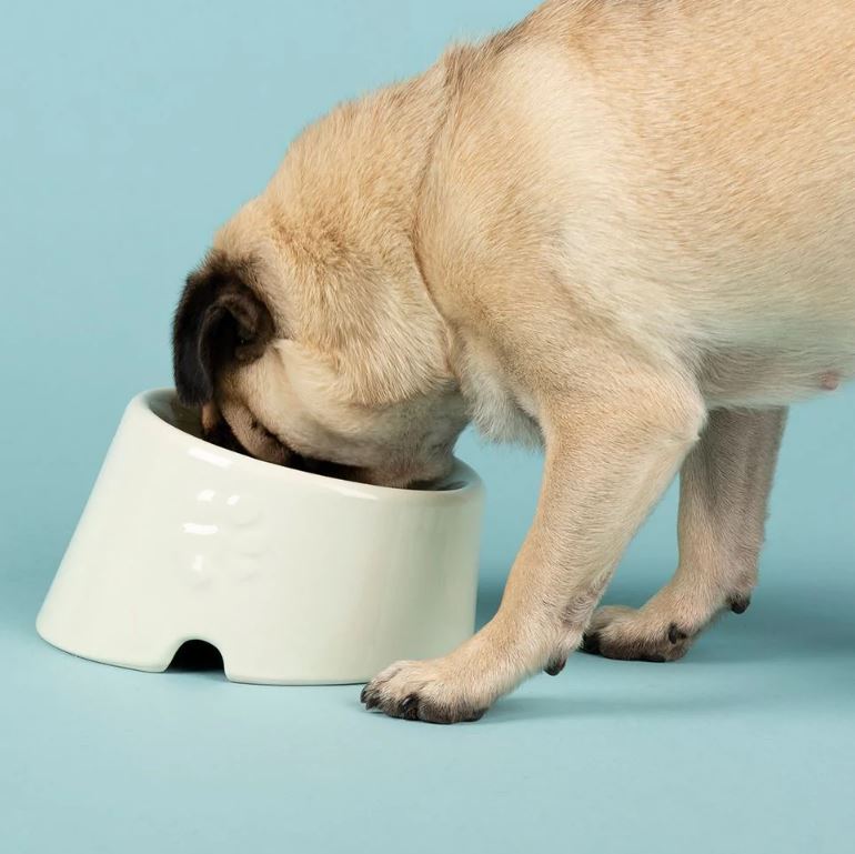 Scruffs Icon Flat Faced Pet Bowl 18cm Cream