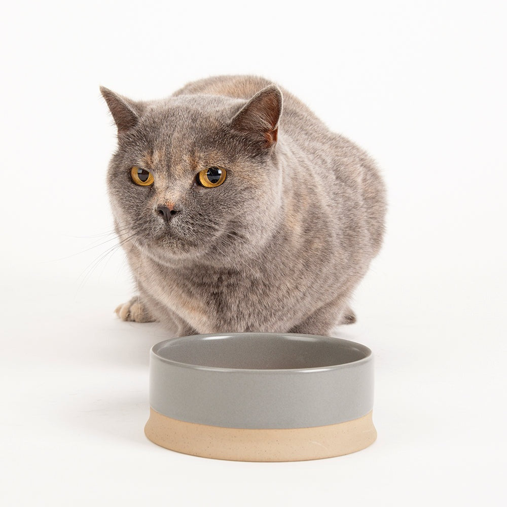 Scruffs Scandi Bowl 14cm Grey
