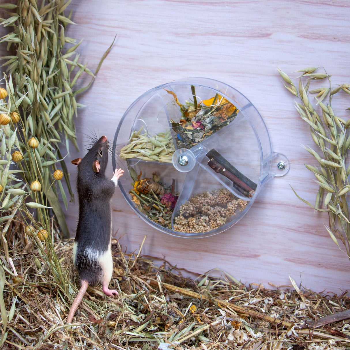 Ancol Burrow & Squeak Foraging Puzzle