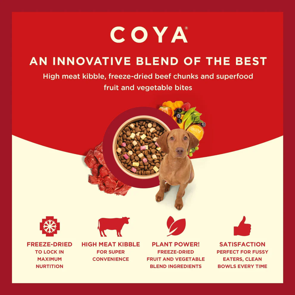 Coya Kibble Plus Adult Beef 1.5kg