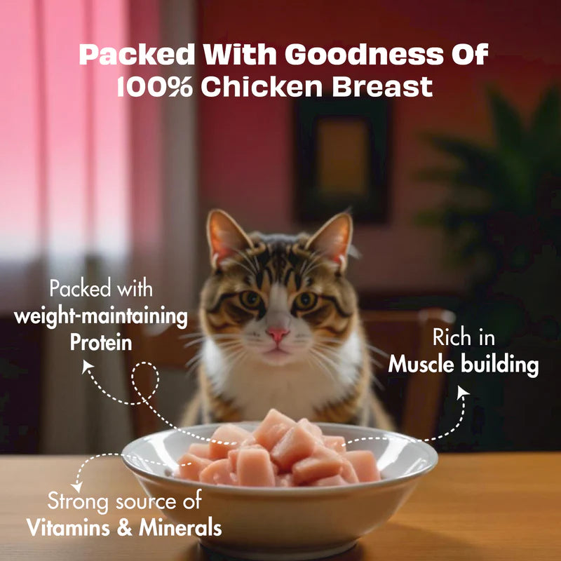 Pawfect Nature's Feast Freeze Dried Cat Treats Chicken Breast 200g
