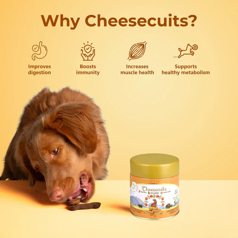 Pawfect Cheesy Dog Biscuits Pumpkin & Flaxseed Cheesecuits 100g