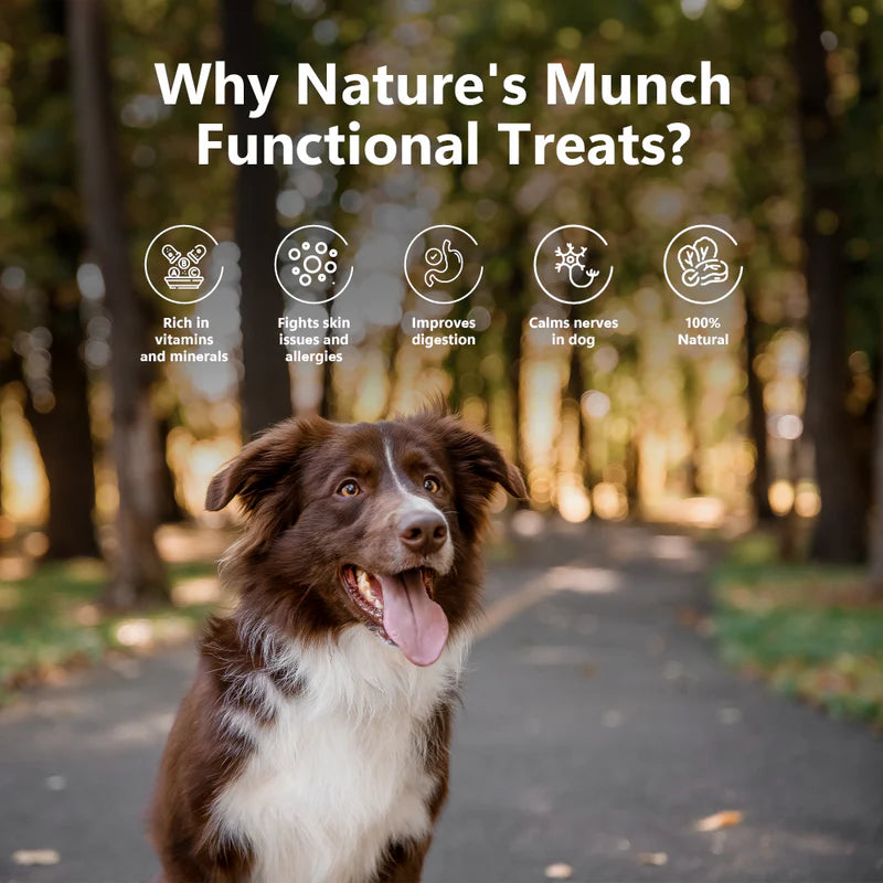 Pawfect Nature's Munch Freeze Dried Dog Treats Health & Digestion 75g