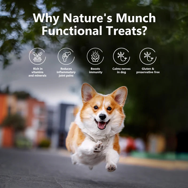 Pawfect Nature's Munch Freeze Dried Dog Treats Joint Care 75g