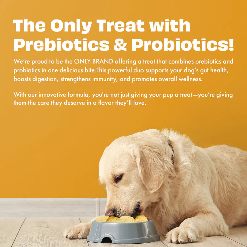 Pawfect Yogurt Melties Pre and Probiotic Dog Treats with Pumpkin, Beetroot, Cabbage & Fennel Seeds 38g