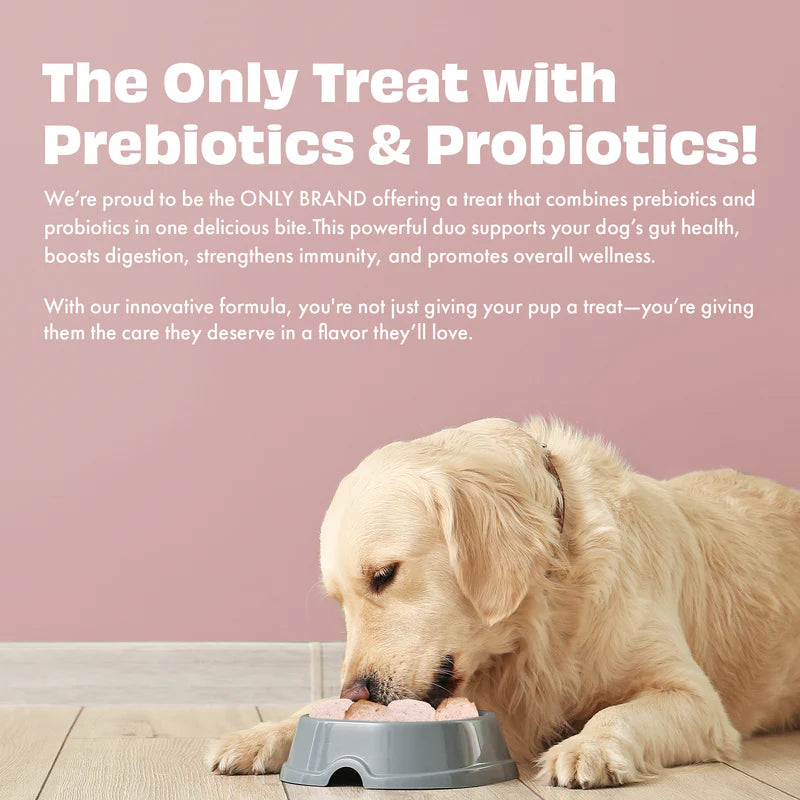 Pawfect Yogurt Melties Pre and Probiotic Dog Treats with Strawberry, Apple, Papaya & Burdock Root 38g