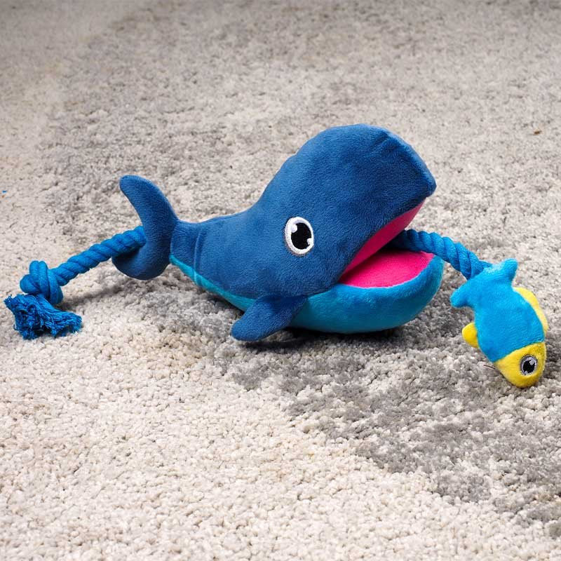 Zoon Whale Tugga Fish