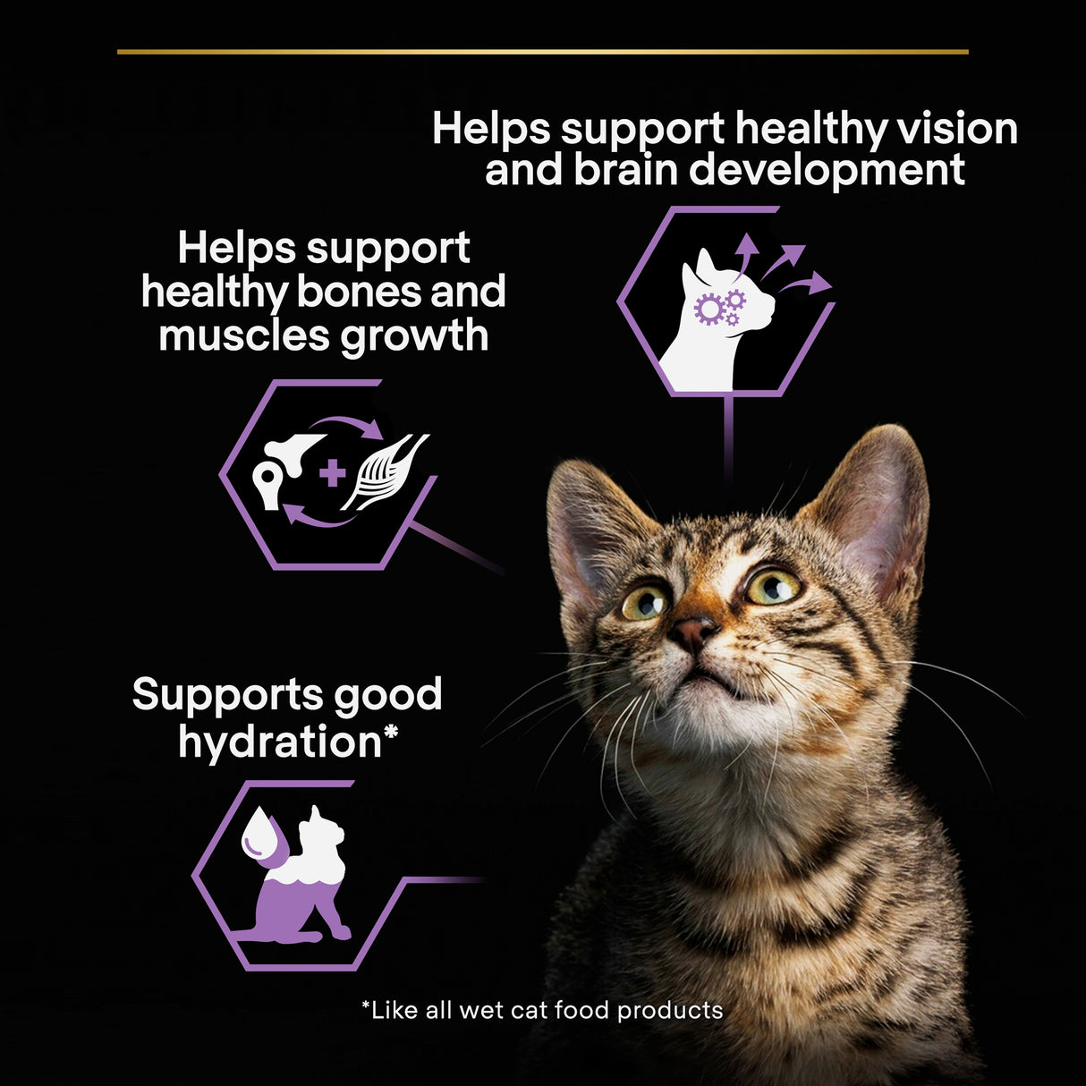 Pro Plan Cat - Kitten Healthy Start Turkey in Gravy 10x85g