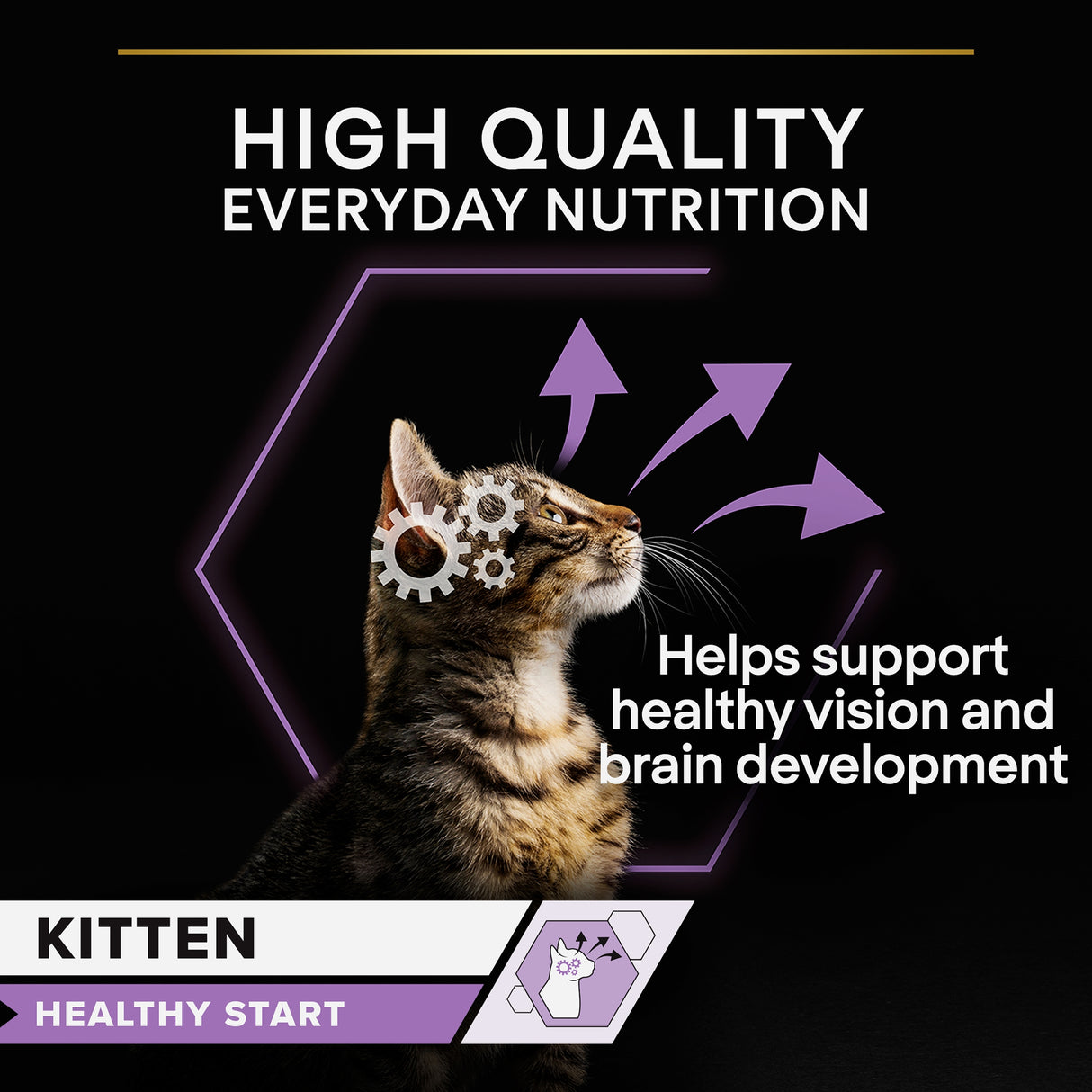 Pro Plan Cat - Kitten Healthy Start Turkey in Gravy 10x85g