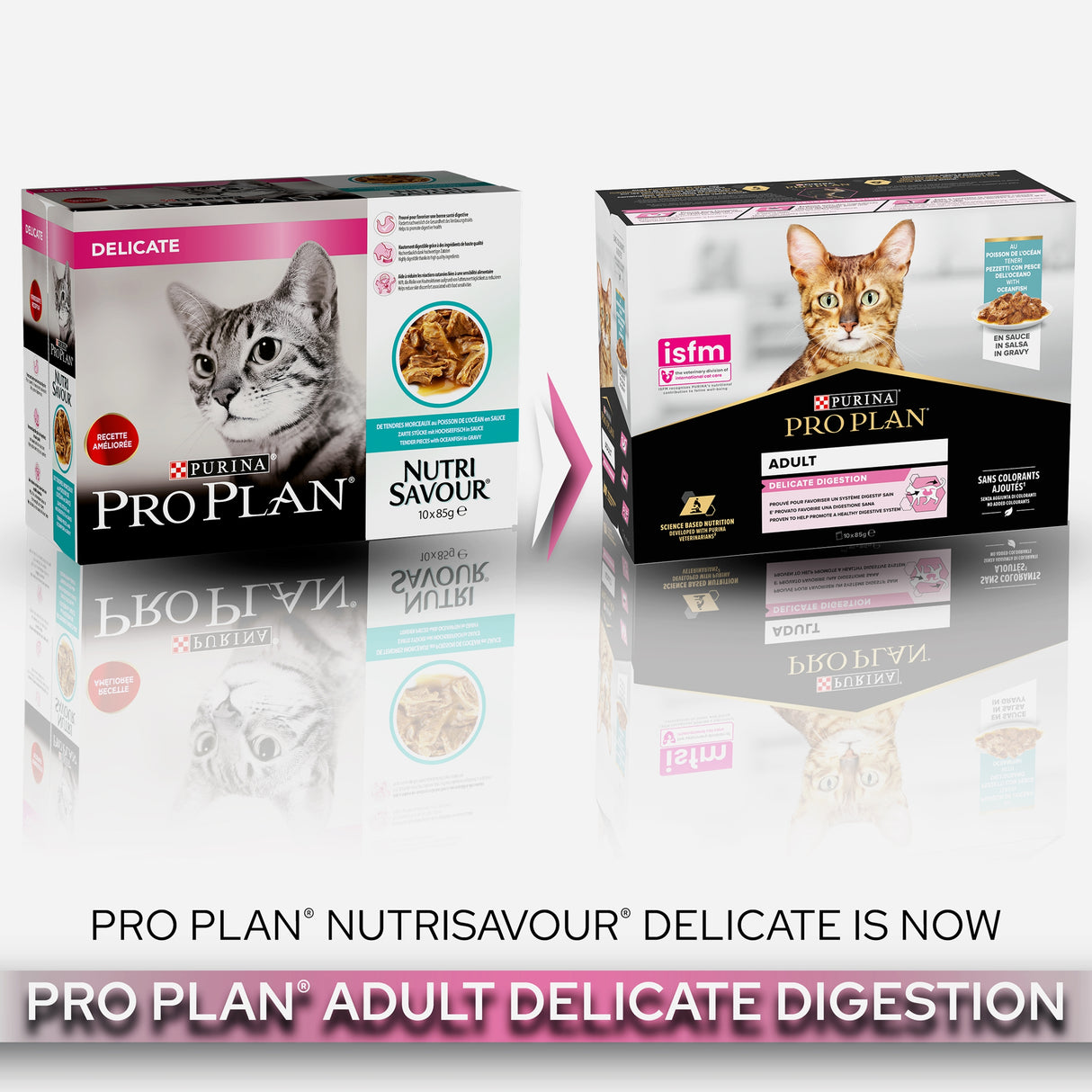 Pro Plan Cat - Adult Delicate Digestion Ocean Fish In Gravy 10x85g
