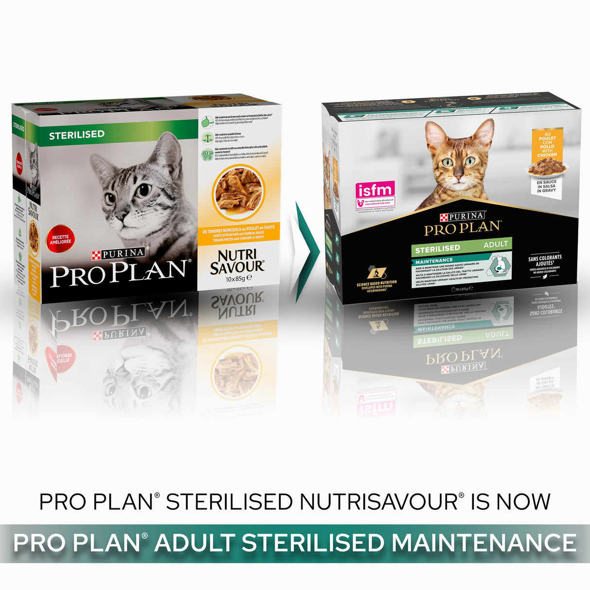 Pro Plan Cat - Adult Sterilised Maintenance Chicken In Gravy 10x85g