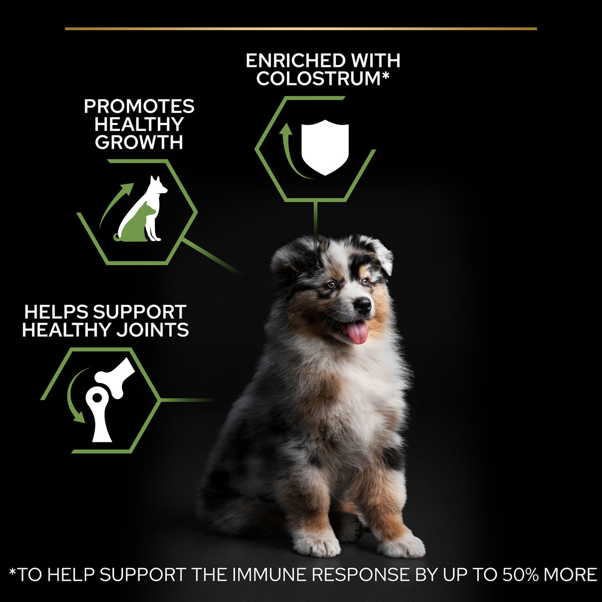 Pro Plan Dog - Puppy Medium Chicken & Rice 12kg