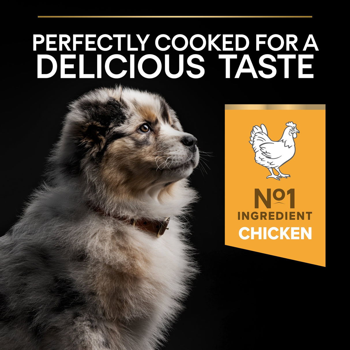 Pro Plan Dog - Puppy Medium Chicken & Rice 12kg