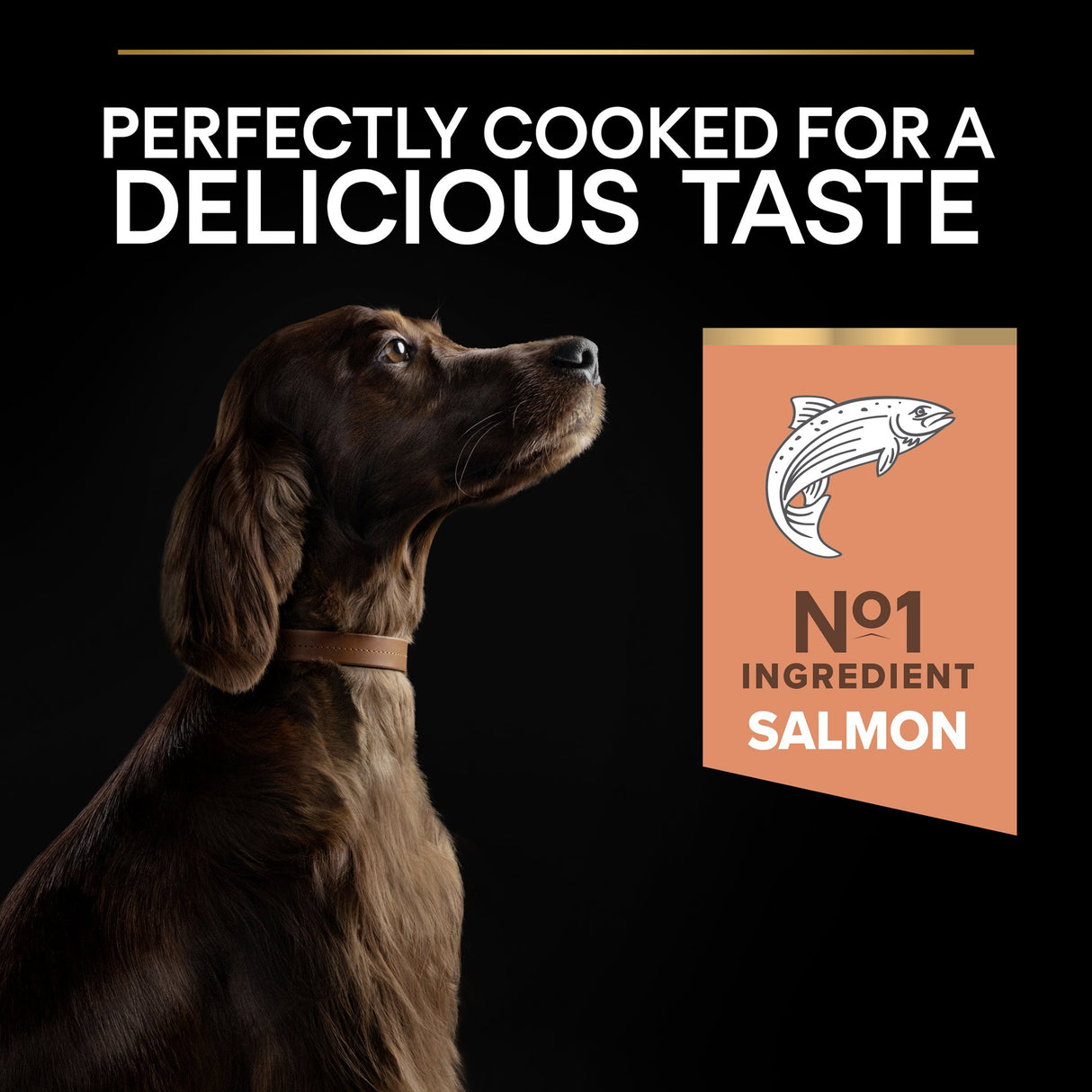 Pro Plan Dog - Adult Large Athletic Sensitive Skin Salmon 14kg