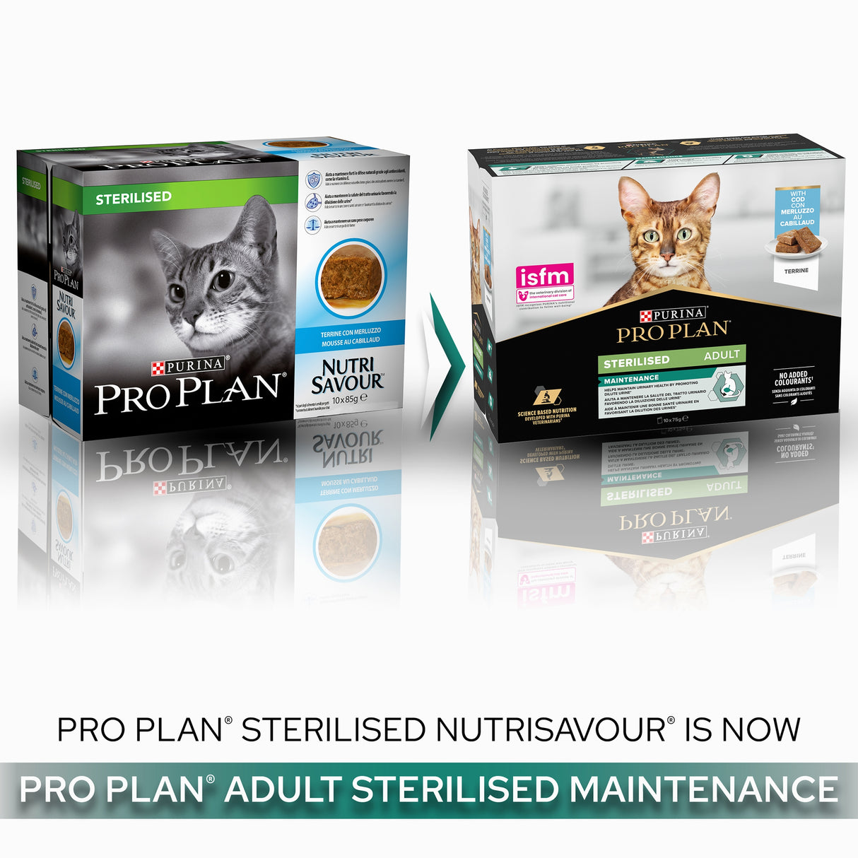 Pro Plan Cat - Adult Sterilised Maintenance Cod Terrine 10x75g