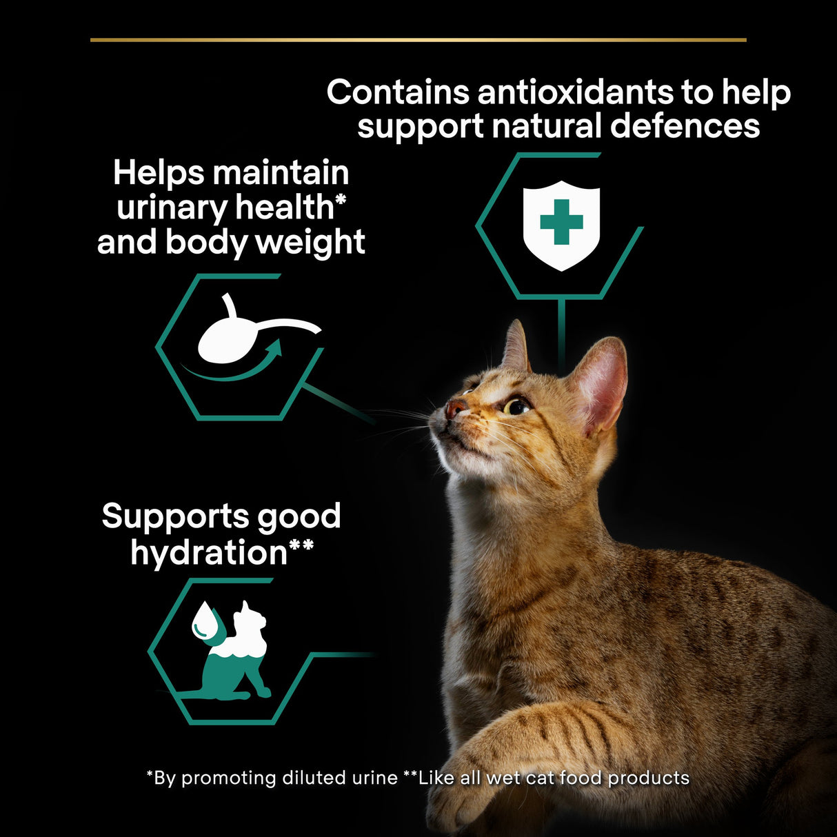 Pro Plan Cat - Adult Sterilised Maintenance Cod Terrine 10x75g