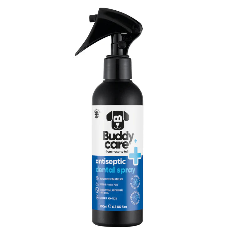 Buddy Care Antiseptic Dental Spray 200ml