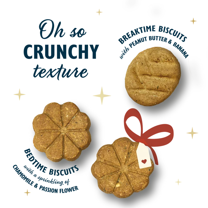 Lily's Kitchen Advent Calendar For Dogs