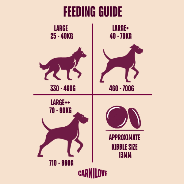 Carnilove Dog - Active Salmon & Turkey Large Breed Adult 1.5kg