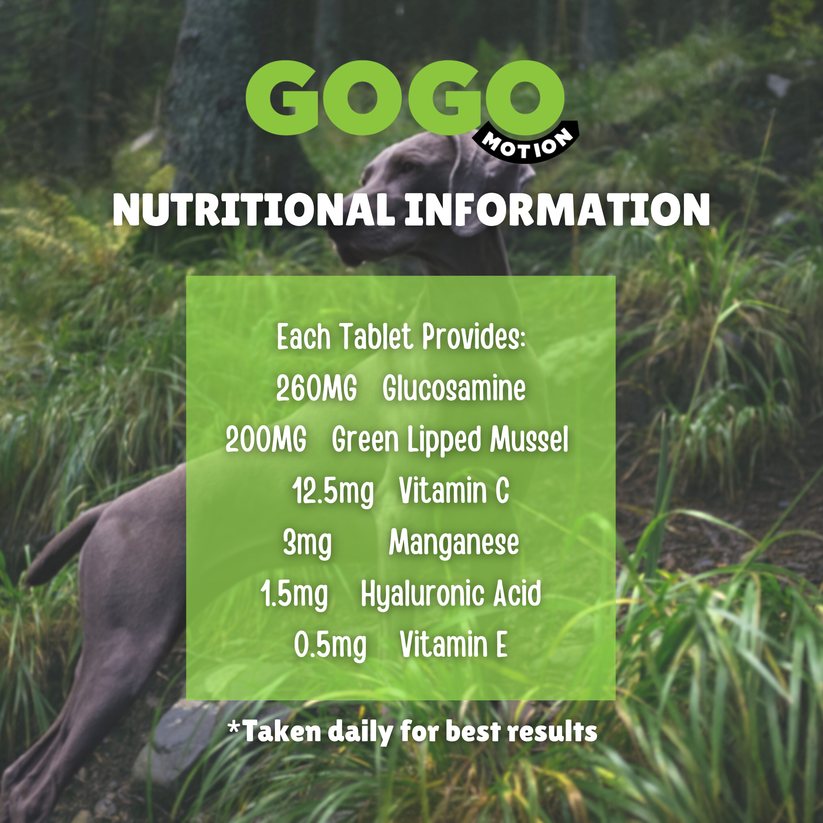 GoGo Motion Joint Care 130 Tablets