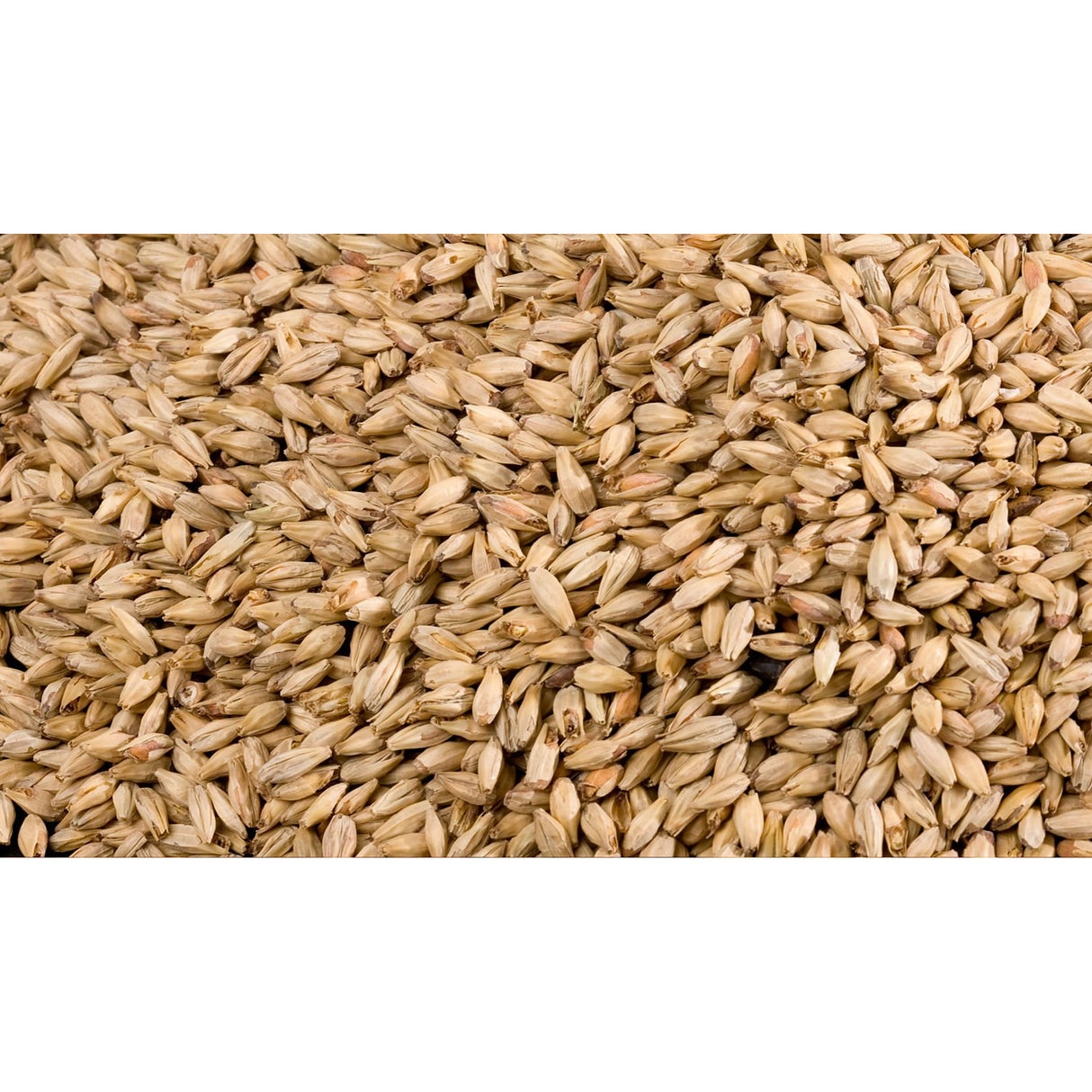Gem Pigeon Malting Barley Mix 20kg