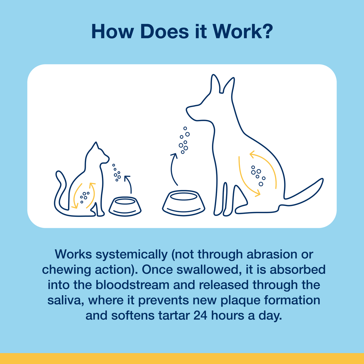 ProDen Plaque Off Powder 60g