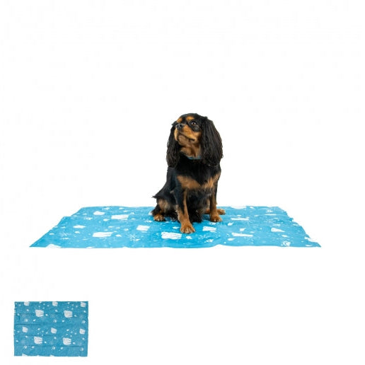 Ice Paws Cooling Mat Small 45x60cm
