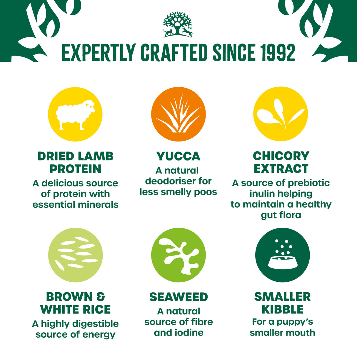 James Wellbeloved Puppy / Junior - Lamb & Rice 15kg