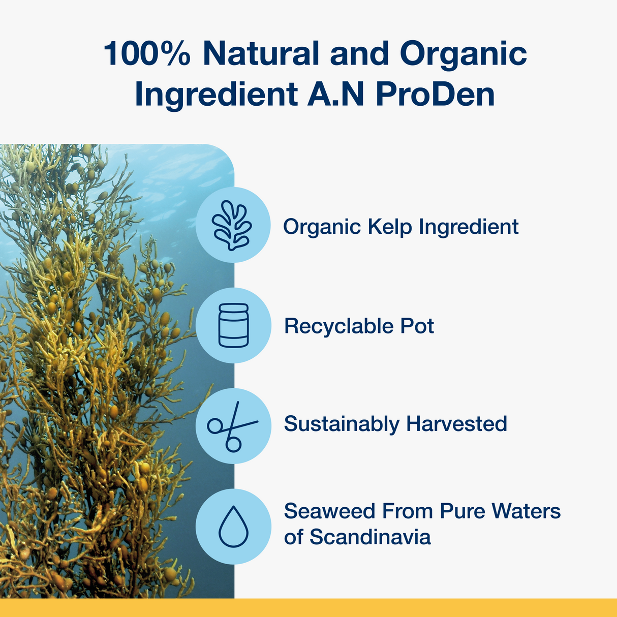 ProDen Plaque Off Powder 60g