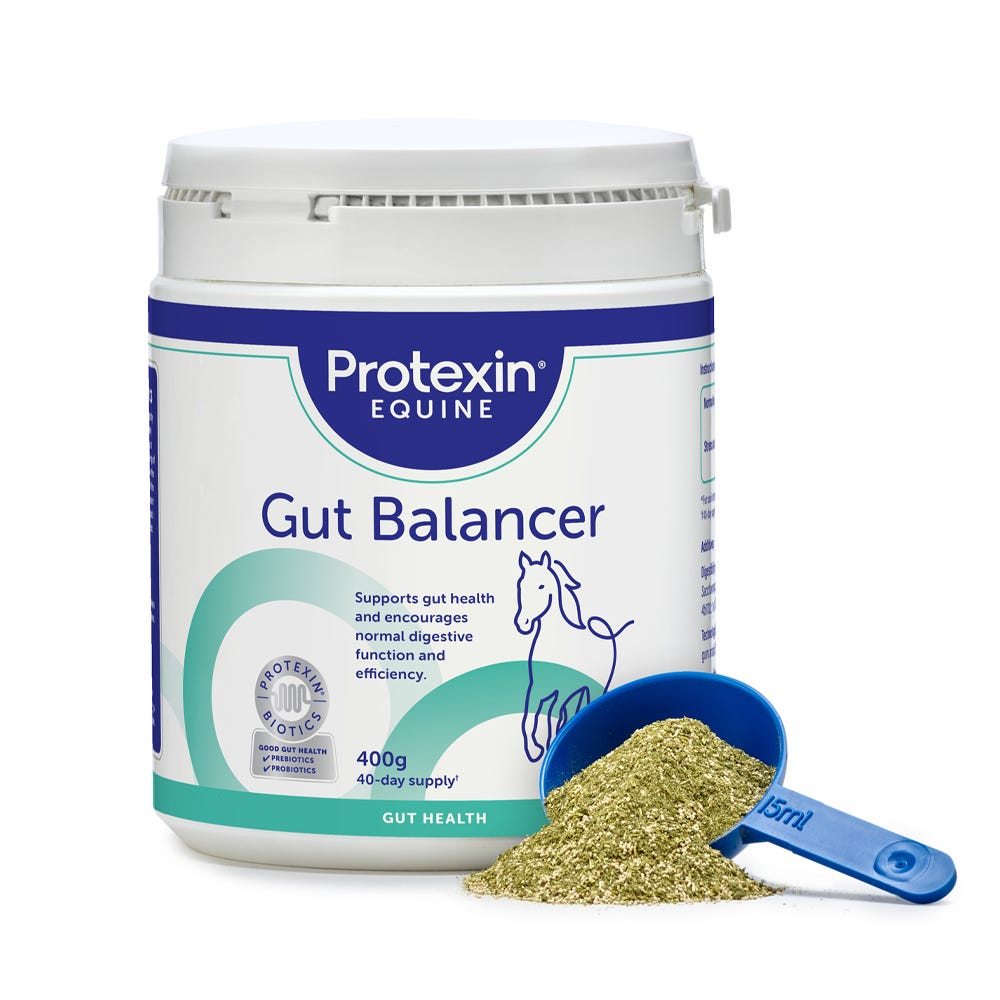 Protexin Gut Balancer 400g