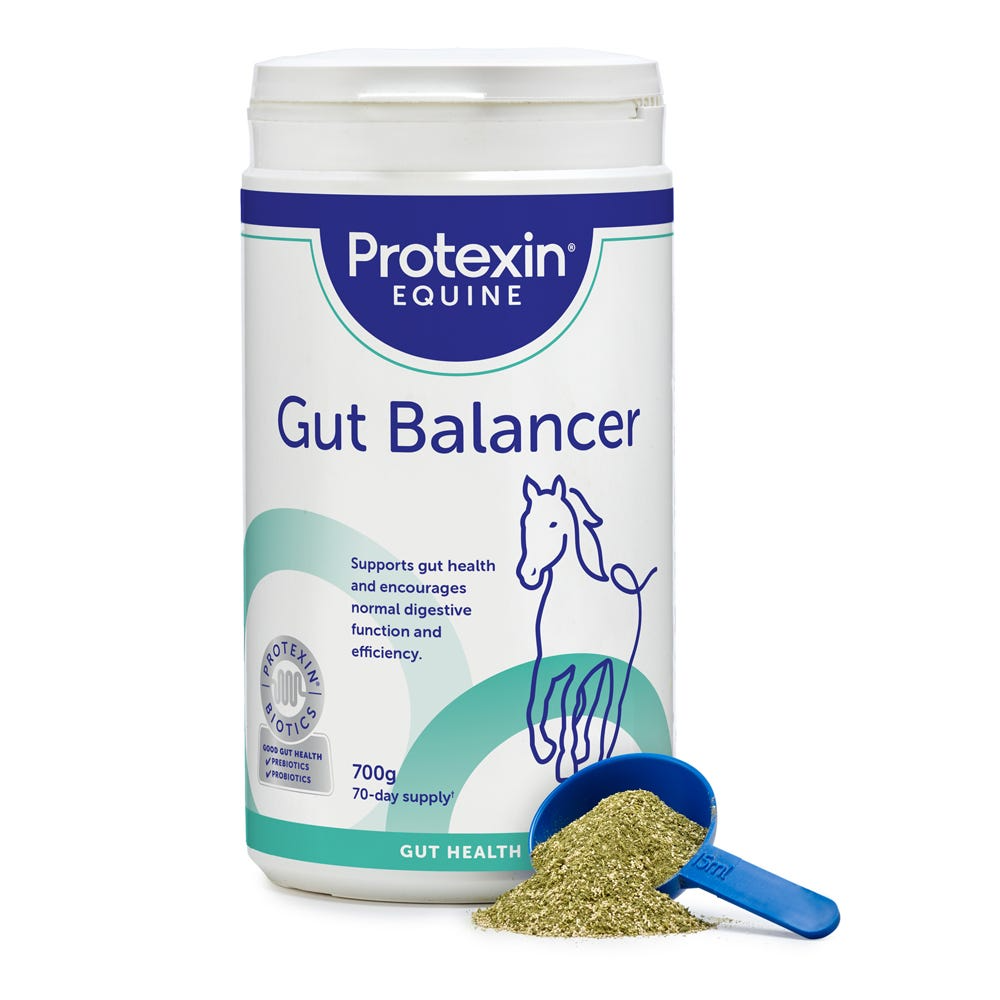 Protexin Gut Balancer 700g