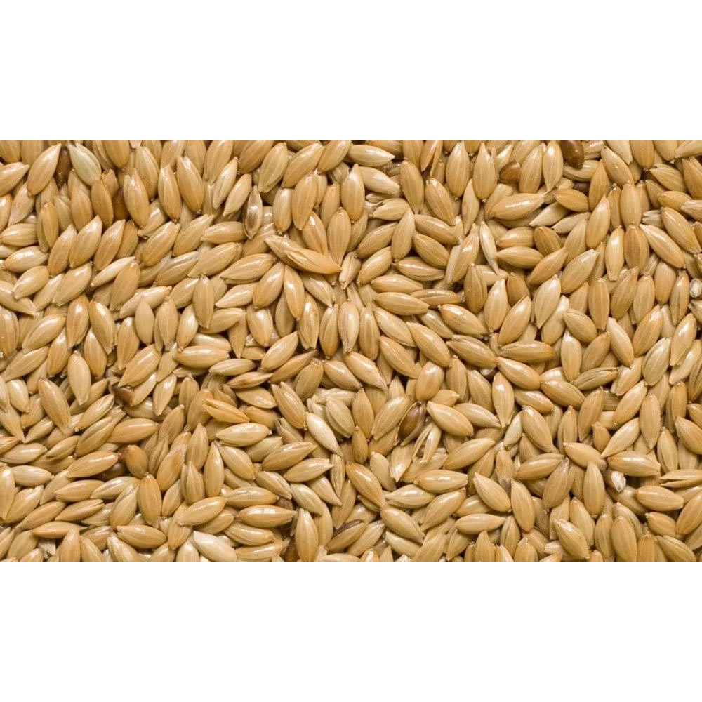SkyGold Canary Seed 20kg
