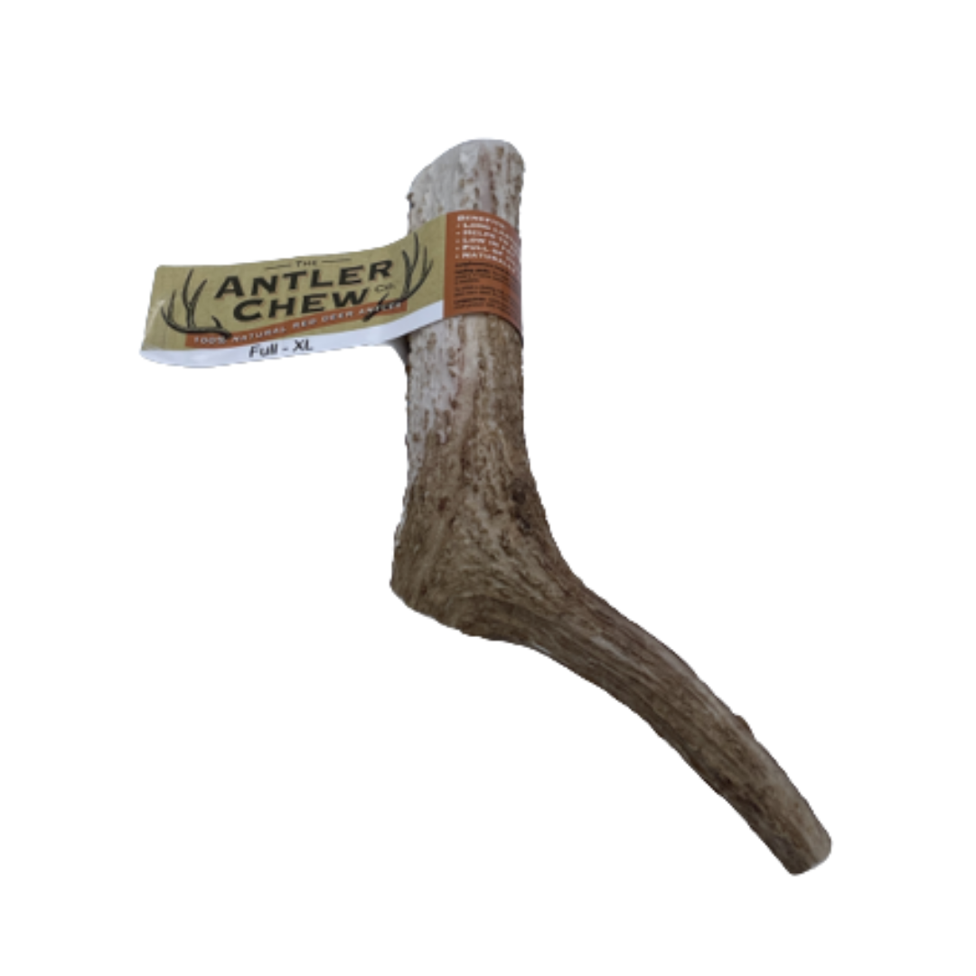 The Antler Chew Co Full Antler XL