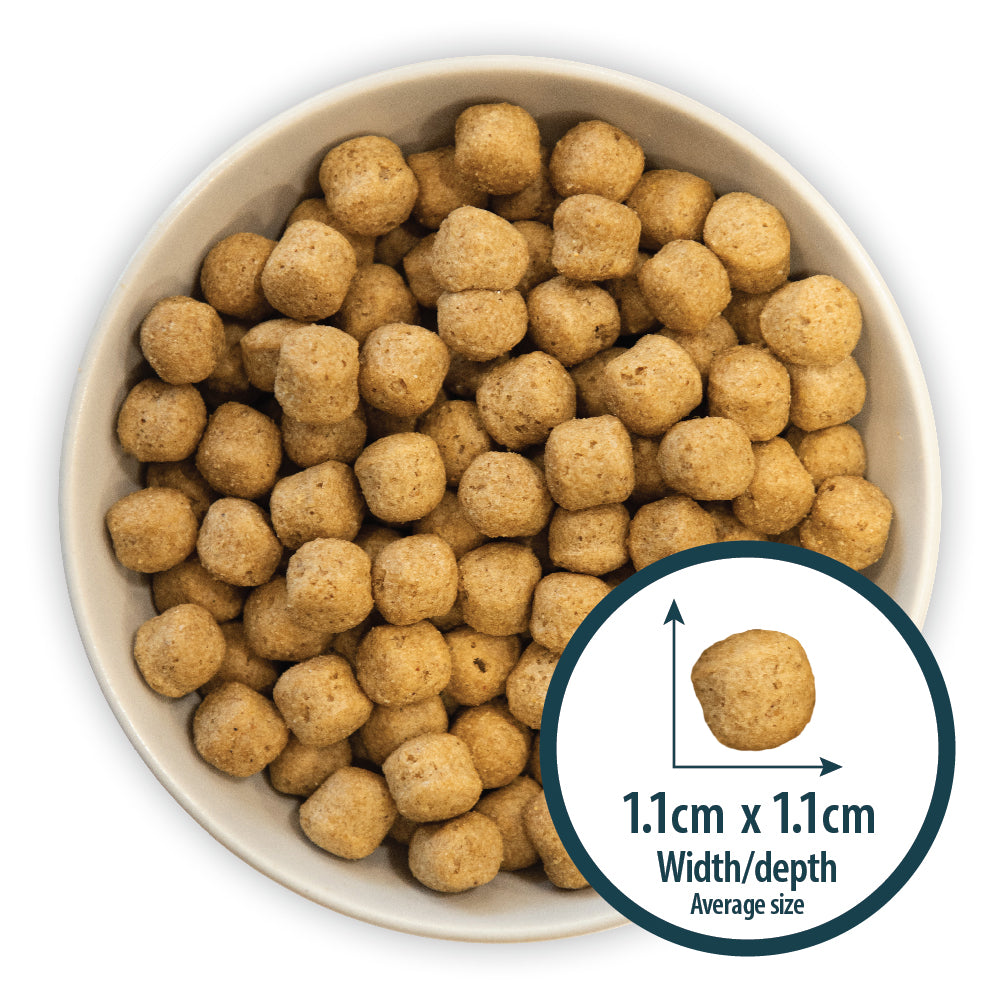 Burns Dog - Adult & Senior Original Lamb & Brown Rice 12kg