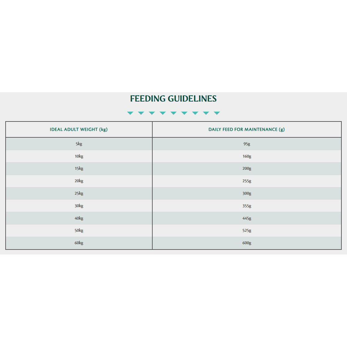 Tribal Adult Turkey Dry Dog Food 2.5kg