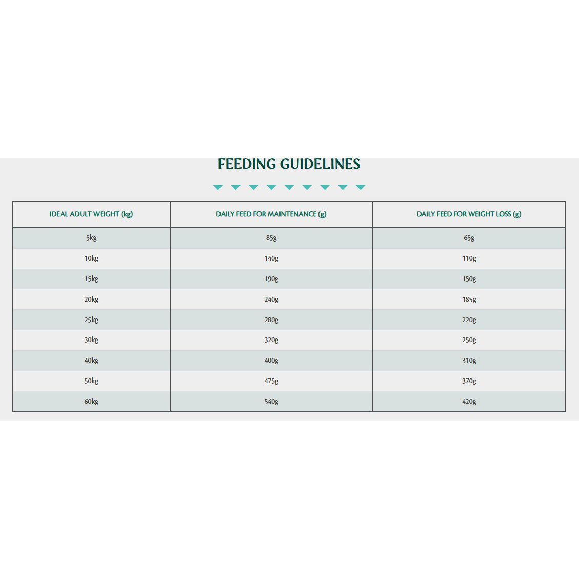 Tribal Senior / Light Turkey Dry Dog Food 2.5kg