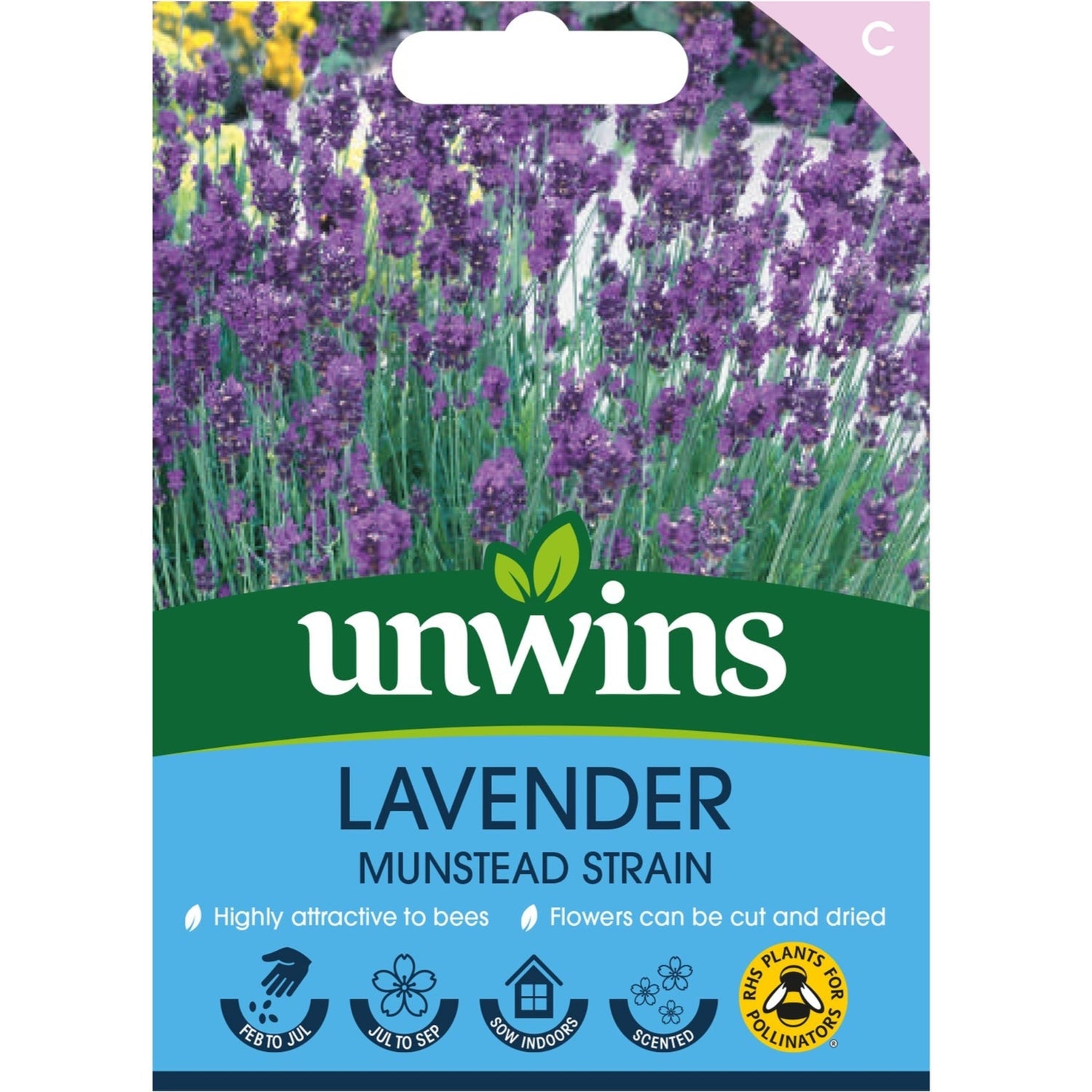Unwins Lavender Munstead Strain