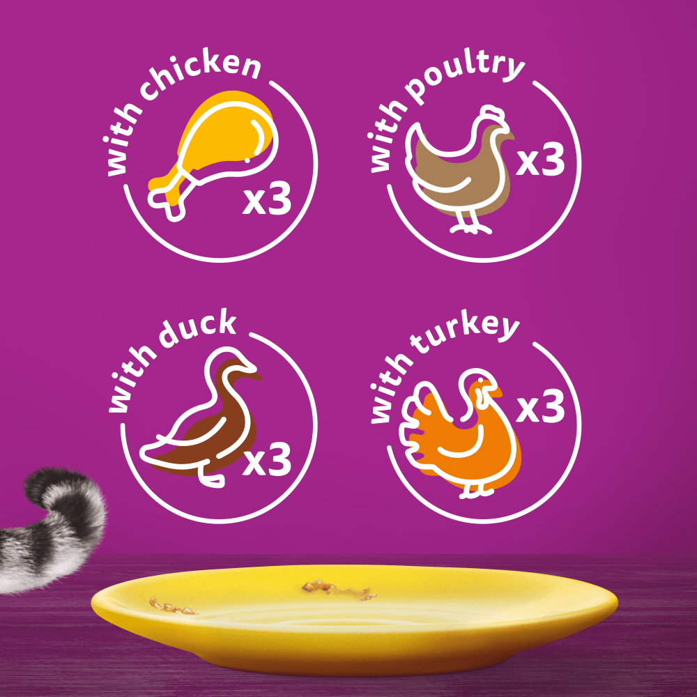 Whiskas 1+ Poultry Feast In Jelly Adult Wet Cat Food Pouches 12x85g