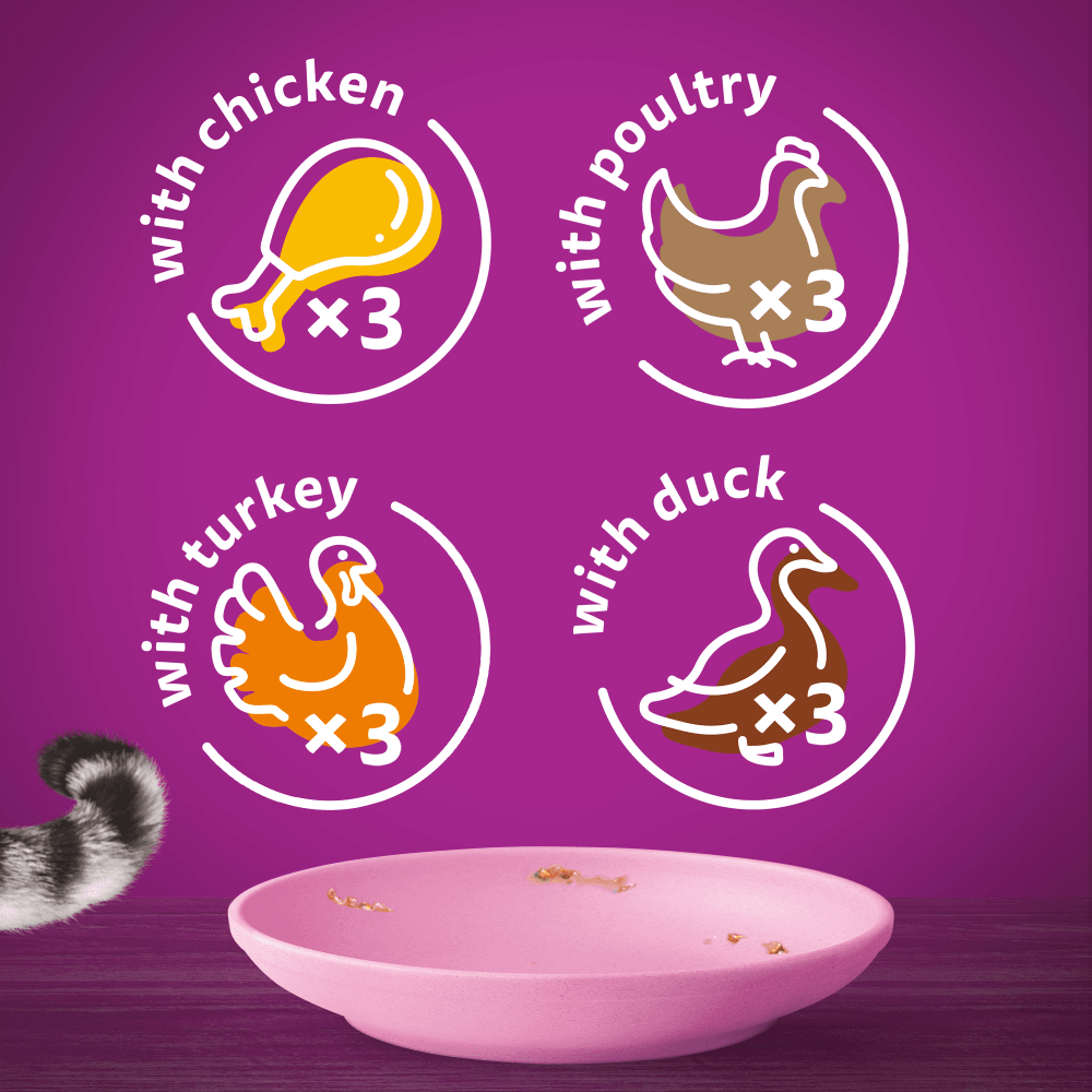 Whiskas 2-12 Months Kitten Poultry Feasts In Jelly Wet Cat Food Pouches 12x85g