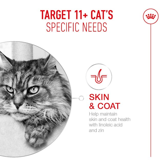 Royal Canin Cat - Ageing 11+ 400g