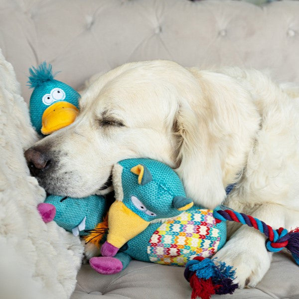 Animal Instincts Teal Tails Tom Duck Plush