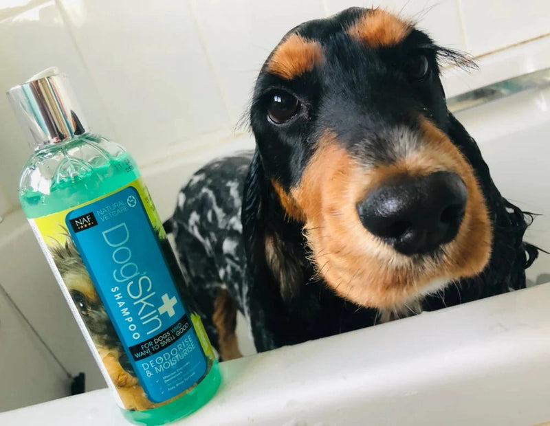 NAF NVC Dog Skin Shampoo 300ml