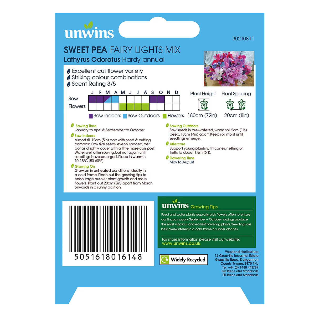 Unwins Sweet Pea Fairy Lights