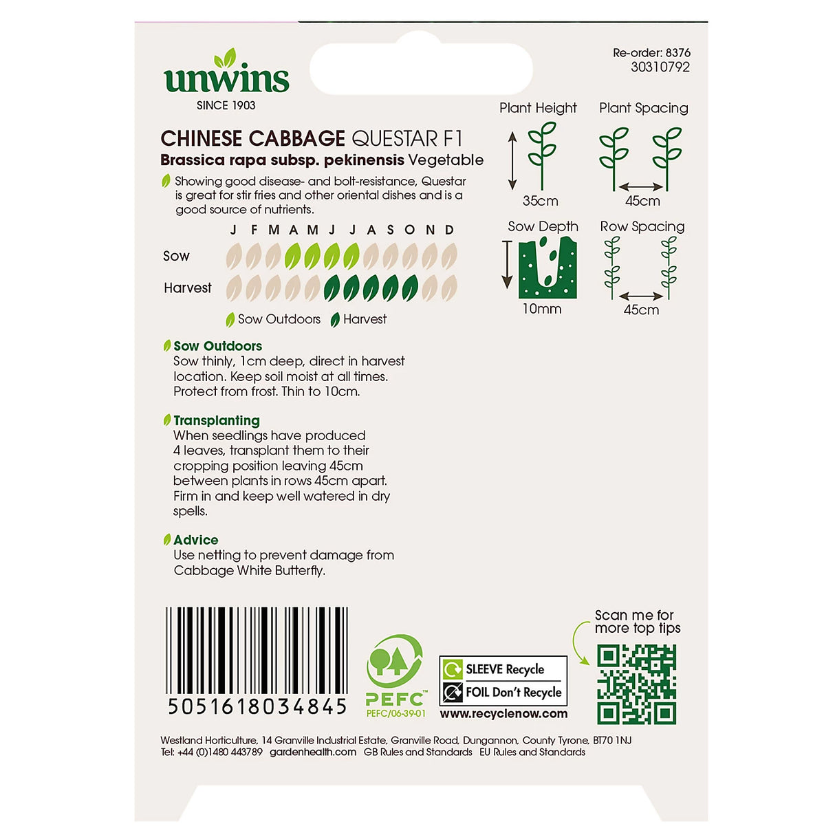 Unwins Chinese Cabbage Questar F1