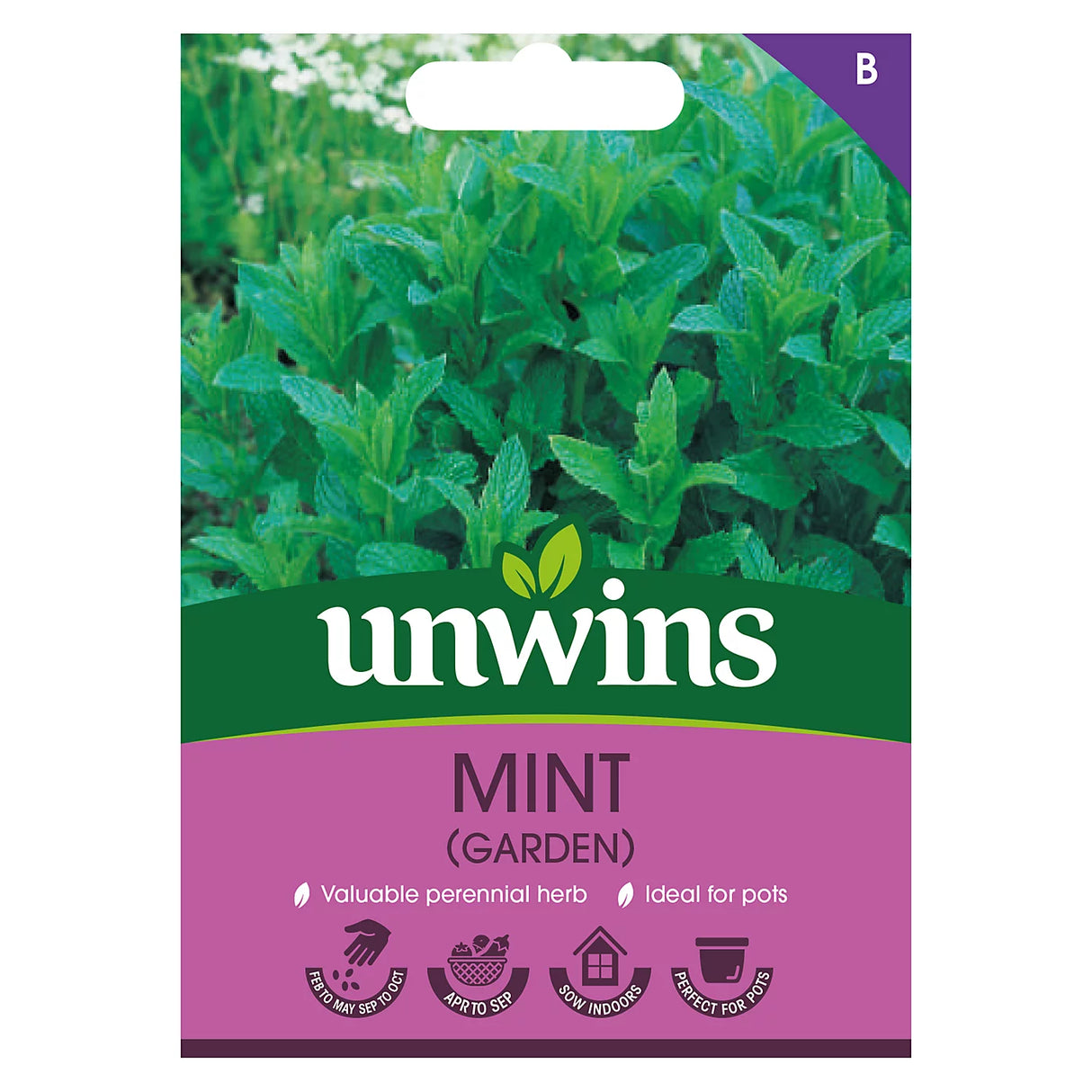Unwins Herb Mint (Garden)