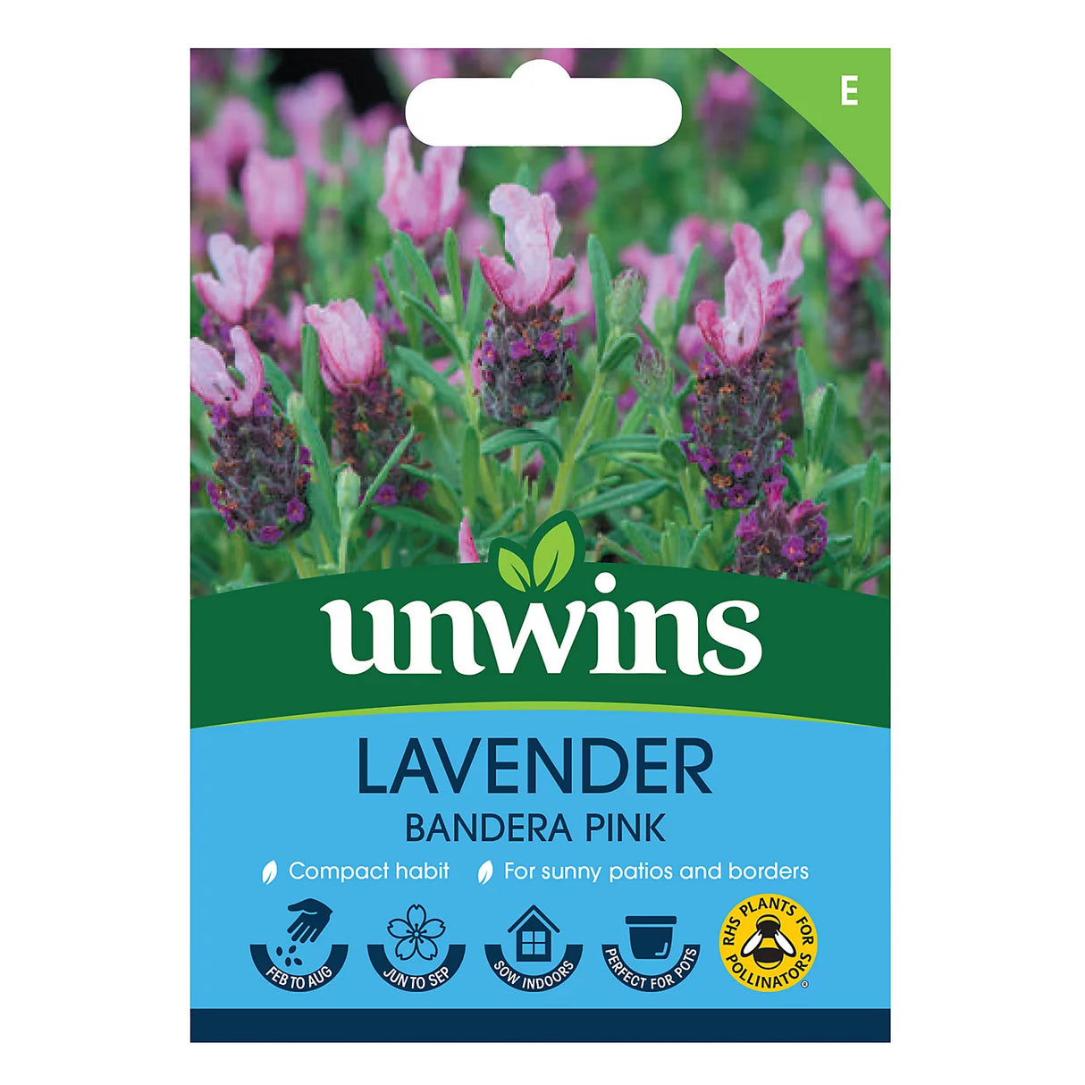 Unwins Lavender Bandera Deep Pink