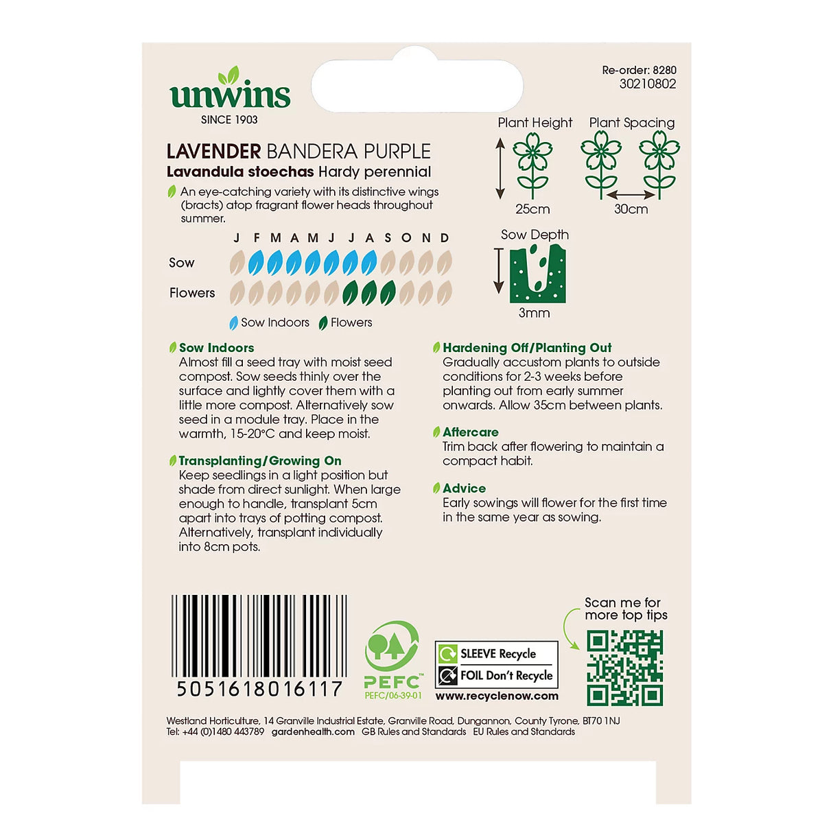 Unwins Lavender Bandera Deep Purple