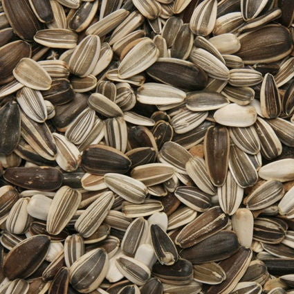 Copdock Mill Medium Sunflower Seed 12.75kg