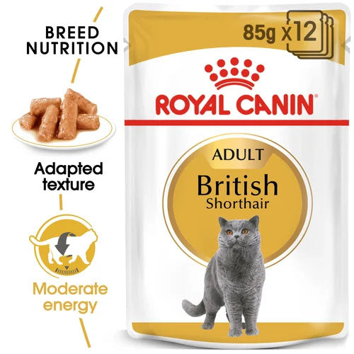 Royal Canin Cat - Pouch Box British Shorthair In Gravy 12x85g